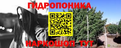 а пвп мука Можга