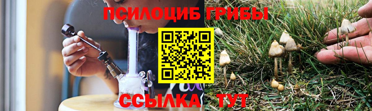 Галлюциногенные грибы мухоморы  Вход с VPN  магазин    Фрязино 